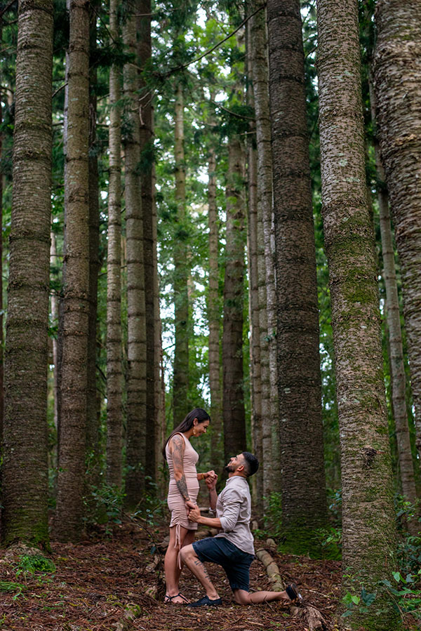 engagement-proposal-photography
